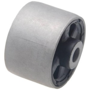 Rear Bushing, Front Control Arm FEBEST RNAB-003 OE Ref 545010010R