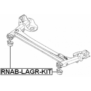 rnab-lagr-kit-3.jpg