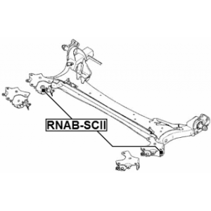 rnab-scii-3.jpg
