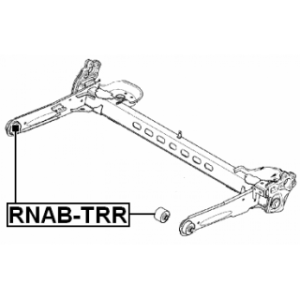 rnab-trr-3.jpg