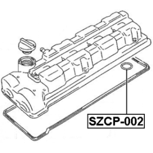 szcp-002-3.jpg