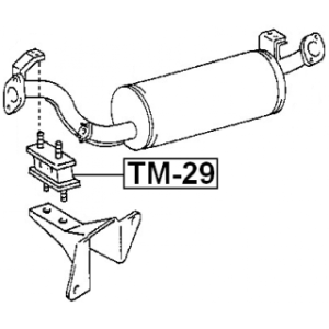 tm-29-3.jpg