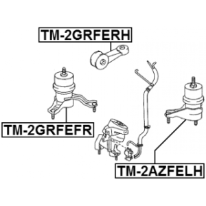 tm-2grfefr-3.jpg