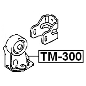 tm-300-3.jpg