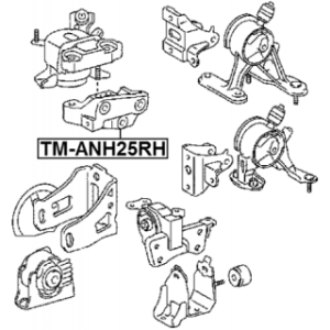 tm-anh25rh-3.jpg