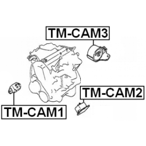 tm-cam2-3.jpg