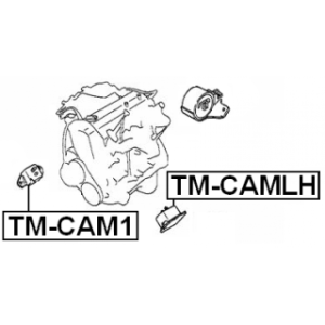 tm-camlh-3.jpg