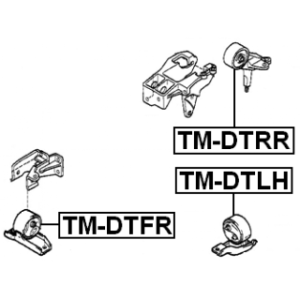 tm-dtfr-3.jpg