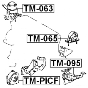 tm-picf-3.jpg