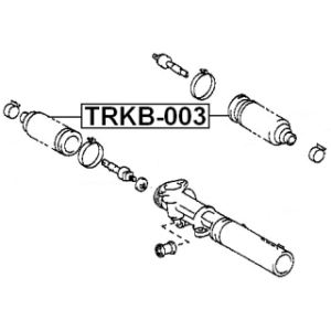 trkb-003-3.jpg