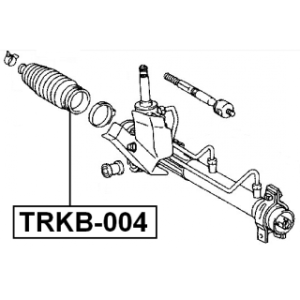 trkb-004-3.jpg