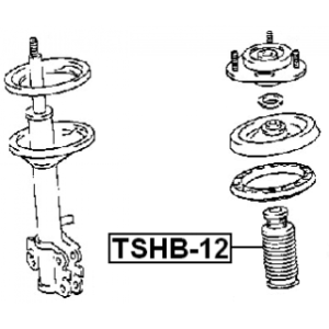 tshb-12-3.jpg