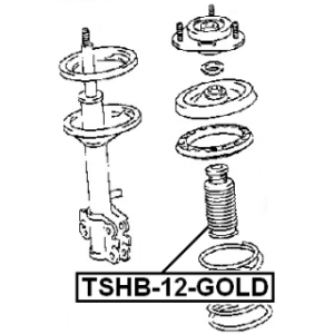 tshb-12-gold-3.jpg