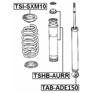 tshb-aurr-3.jpg