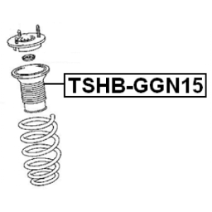 tshb-ggn15-3.jpg