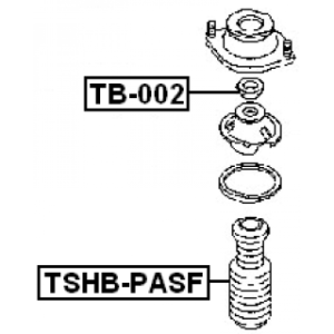 tshb-pasf-3.jpg