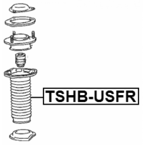 tshb-usfr-3.jpg
