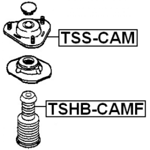 tss-cam-3.jpg