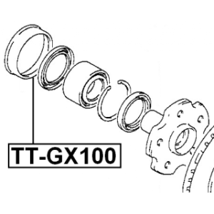 tt-gx100-3.jpg