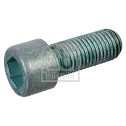 Pulley Bolt FEBI 01202 OE Ref 06.02099.0499