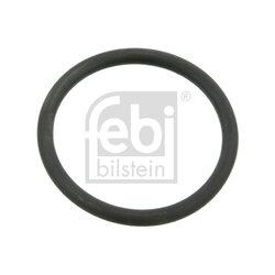 Water Pump Gasket FEBI 03518 OE Ref 51.06599.6013