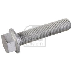 Screw FEBI 10192 OE Ref 0250709600