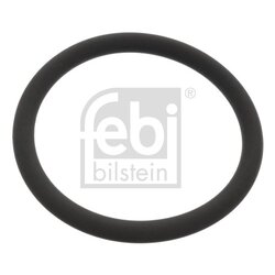 Water Pump Gasket FEBI 48765 OE Ref 2000 735
