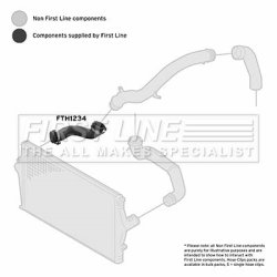 Charge Air Hose FIRST LINE FTH1234 OE Ref 31261371