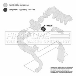 Charge Air Hose FIRST LINE FTH1235 OE Ref 0382 EA