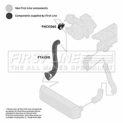 Charge Air Hose FIRST LINE FTH1315 OE Ref PNH000163
