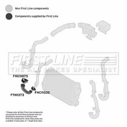 Charge Air Hose FIRST LINE FTH1373 OE Ref 55352162