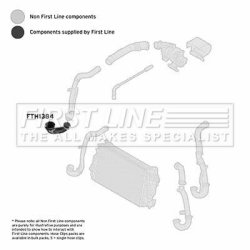 Charge Air Hose FIRST LINE FTH1384 OE Ref 55352162