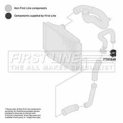 Charge Air Hose FIRST LINE FTH1641 OE Ref 9179002