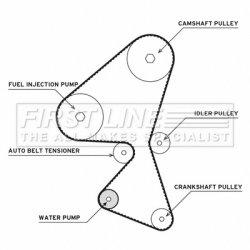 Water Pump & Timing Belt Kit FIRST LINE FTW1009