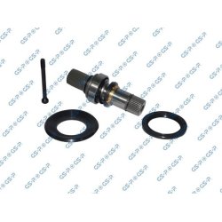 Differential Stub Axle GSP 261237 OE Ref 02Q409345