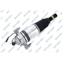 Air Suspension Strut GSP 30900251 OE Ref 95835802001