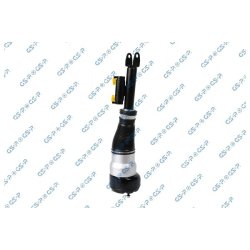Air Suspension Strut GSP 30900301 OE Ref 222320481389