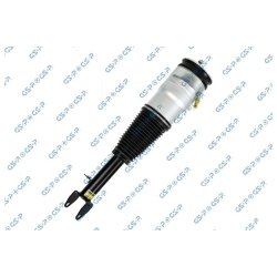 Air Suspension Strut GSP 30900990