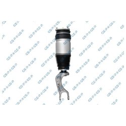 Air Suspension Strut GSP 30901020 OE Ref 102736125E