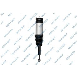 Air Suspension Strut GSP 30901030 OE Ref 102746100E