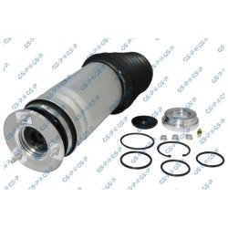 Suspension Air Spring GSP 35201030 OE Ref 102746100E