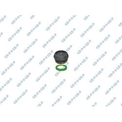 Suspension Strut Support Mount Kit GSP 510924S OE Ref 92048903