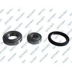 Wheel Bearing Kit GSP GK0Y09 OE Ref 211498071BS