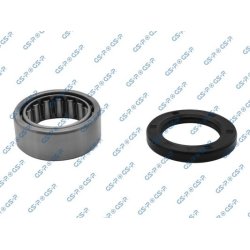 Wheel Bearing Kit GSP GK1905 OE Ref 9036547013