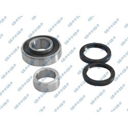 Wheel Bearing Kit GSP GK3220 OE Ref 0926935010