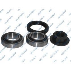 Wheel Bearing Kit GSP GK3666 OE Ref 1019576