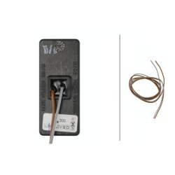 Auxiliary Side Indicator HELLA 2BM 008 771-001 OE Ref 900530224 HELLA