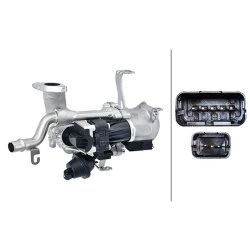 EGR Module HELLA 6NU 010 171-181 OE Ref 1 685 740