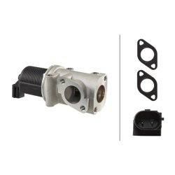 EGR Valve HELLA 6NU 010 171-331 OE Ref 551 82 482