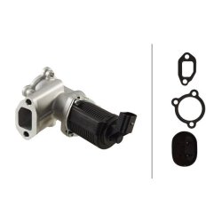 EGR Valve HELLA 6NU 010 171-451 OE Ref 55195196